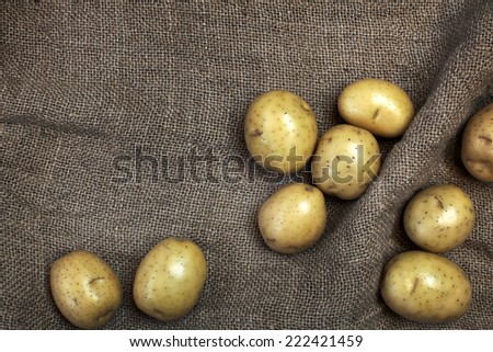 Decorative composition with fresh potatoes on burlap background. Image of natural materials. Eco style.