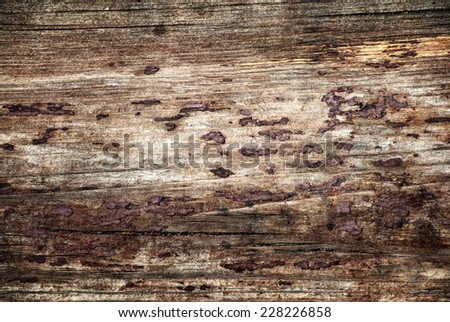 Bright grunge wood texture. Decorative closeup fragment of natural material. Eco style pattern for your design.