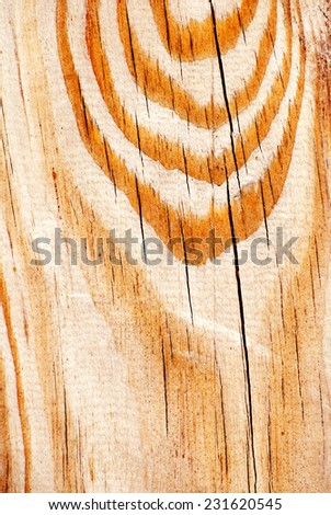 Bright orange old wood texture. Decorative closeup fragment of natural material. Grunge style pattern for your design.
