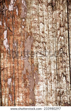 Retro style wood texture. Decorative closeup fragment of natural material. Eco pattern for your design.