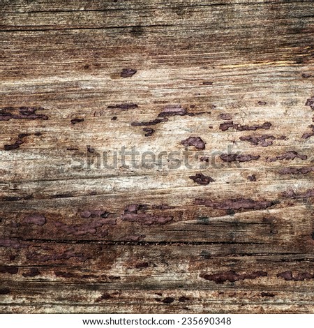 Bright grunge wood texture. Decorative closeup fragment of natural material. Eco style pattern for your design.
