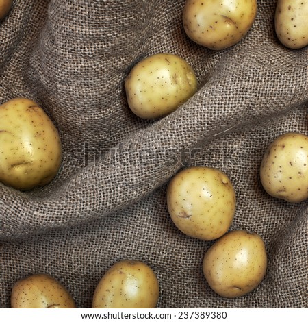 Decorative composition with fresh potatoes on burlap background. Square image of natural materials. Eco style.