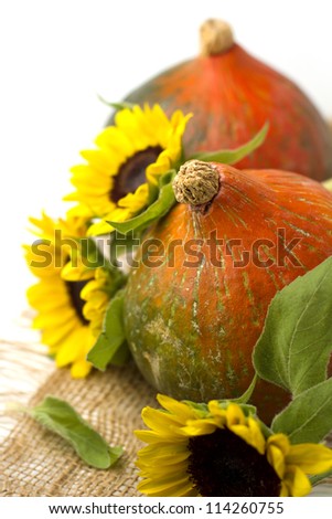 Pumpkin and sunflowers on white background.