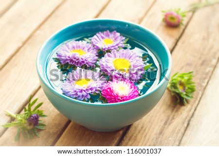 Aster flowers in bowl with water on wooden table. Spa concept.