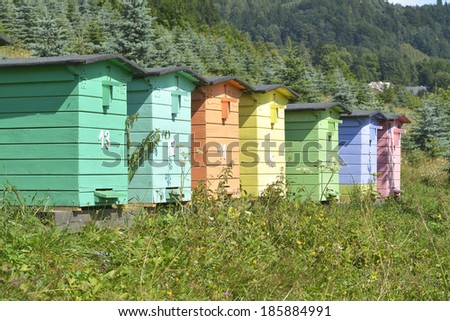 Bee houses.