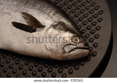 Silver fish on a grey table