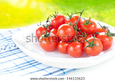 Wet cherry tomatoes branch outdoor on white plate - fresh summer garden harvest