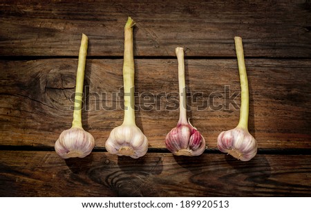 Fresh garlic on vintage planked wood table - garden harvest fem above