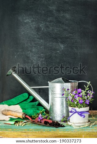 Garden tools: watering can, flowers, gloves, spade, soil and seeds on black chalkboard background. Gardening school concept layout with free text space.