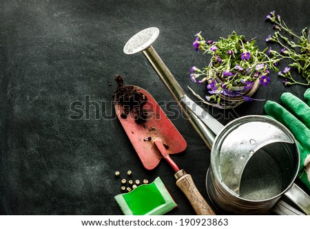 Gardening tools: watering can, flowers, gloves, spade, soil and seeds on black chalkboard background. Spring in the garden concept layout with free text space.