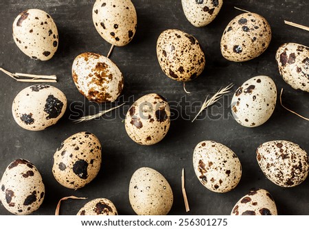 Quail eggs with hay on black background from above. Easter postcard design.