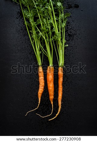 Young spring carrots with tops on black chalkboard from above. Fresh harvest from the garden - poster layout.