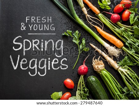 \'Fresh and young spring veggies\' poster design. Vegetables on black chalkboard from above. Carrots, tomatoes, zucchini, leek, radish, celeriac, parsley and basil - harvest from the garden.