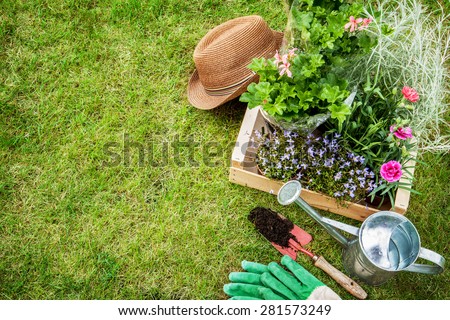 Spring in the garden. Flower seedlings, gardening tools (watering can, shovel, gloves) and gardener\'s hat on green grass from above. Background layout with free text space.