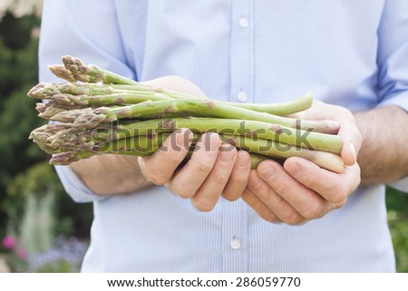 Bunch of green asparagus in gardener\'s hands close up. Spring - fresh harvest from the garden.
