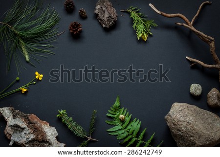 Nature details collection - background layout with free text space. Stones, tree bark, cones, marsh marigold flower, pine tree branches and fern leaf with snail on black captured from above.