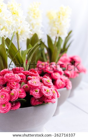 A line of three modern flower pots of yellow hyacinth and pink silk flowers