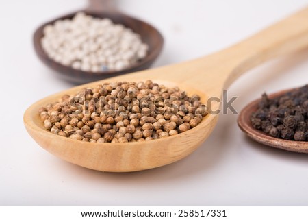 Coriander seeds, Black Pepper Corns and White Pepper Corns in wooden spoon on white background, Shallow depth of field