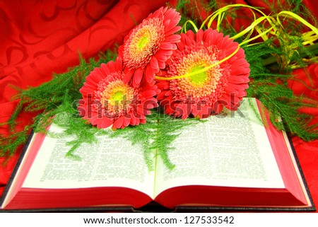 Open Bible and  flower on red background