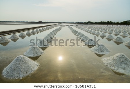 Salt pan scene in Thailand with sunset