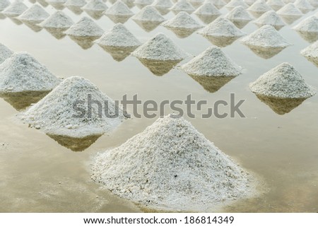 Row of salt in the salt pan