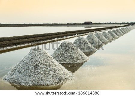 Salt pan scene in Thailand2