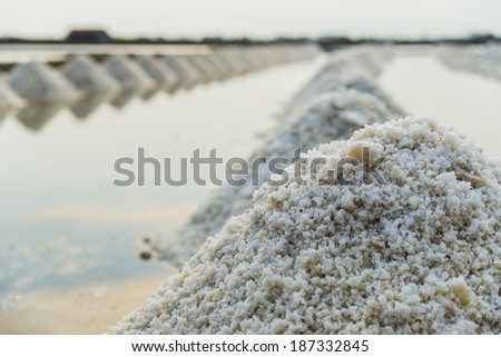 Row of salt in the salt pan with blue sky