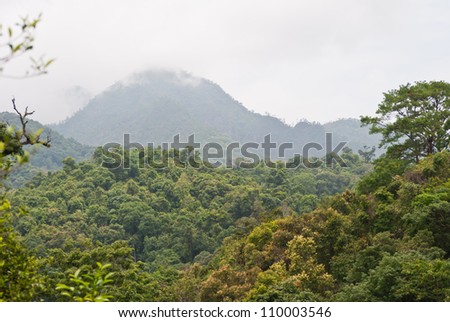 Panoramic views of jungle mountains in Ching Mai ,Thailand