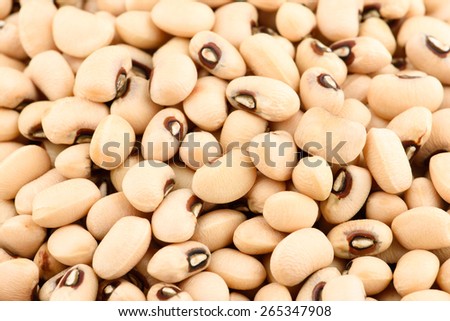 Close-up of white bean
