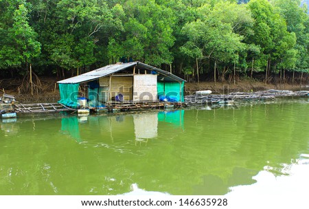 Mini house and stone mountain in the mangrove swamp