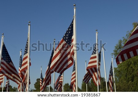 Field of Flags