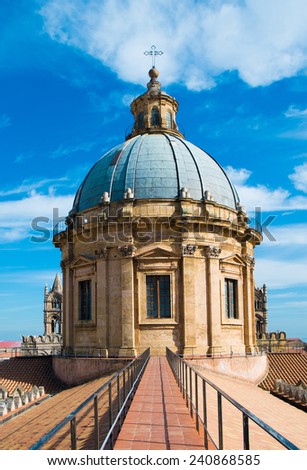 Dome and roof top of Santa Maria Assunta cathedral by night in Palermo, Sicily, Italy