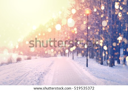 Color snowflakes on winter park background. Snowfall in park. Bright winter sunset. Beautiful Christmas theme.