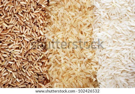 Food background with three rows of rice varieties : brown rice, mixed wild rice, white (jasmine) rice.