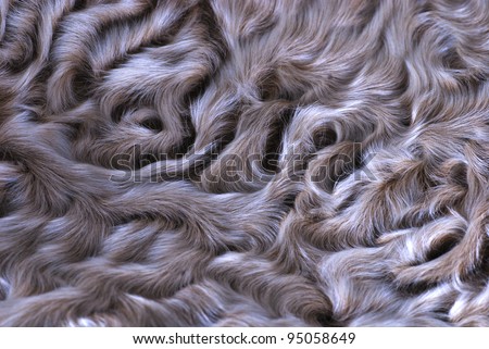 lamb fur background