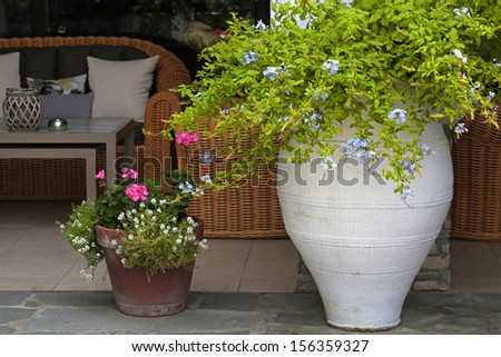 Blossom flowers in flower pots at summer resort patio(Greece)