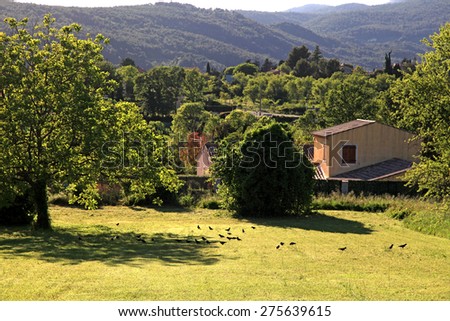 rural landscape with hills and old house, Provence, France. Sunny day