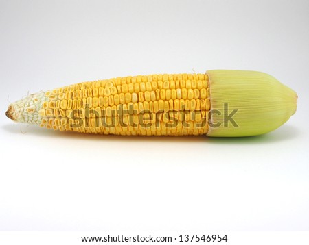 Animal Feed Corn