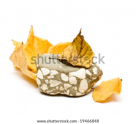 Stone and fall leafs isolated on white