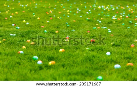 A spring meadow with Easter eggs hidden in the grass
