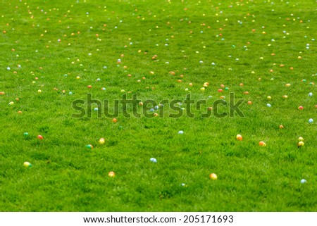A spring meadow with Easter eggs hidden in the grass