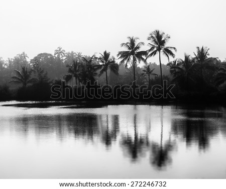 Horizontal black and white Indian landscape bokeh vignette background backdrop