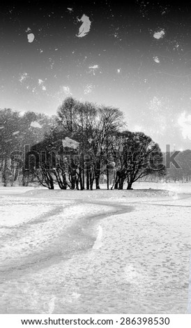 Vertical vintage black and white winter park composition background backdrop