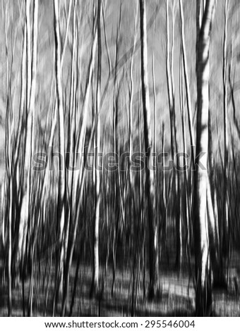 Vertical black and white motion blur trees abstraction background backdrop