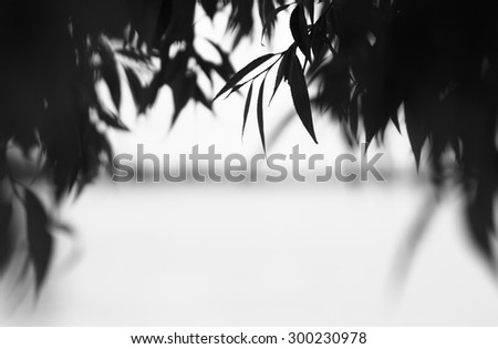 Horizontal black and white leaves river horizon abstraction background