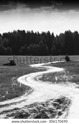 Vertical black and white horizon forest road landscape background