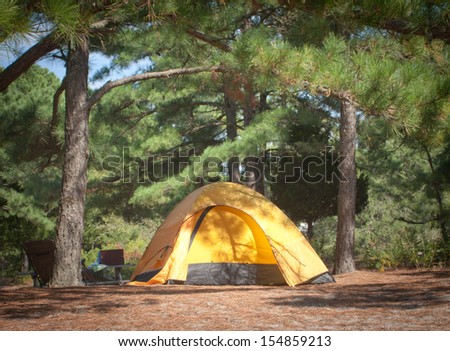 A yellow tent under pine trees