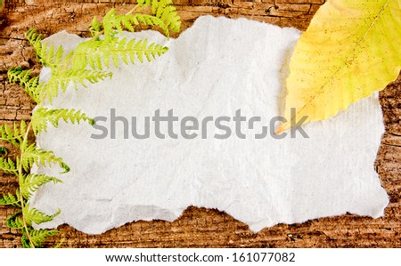 Fall leaves on a white paper wooden background