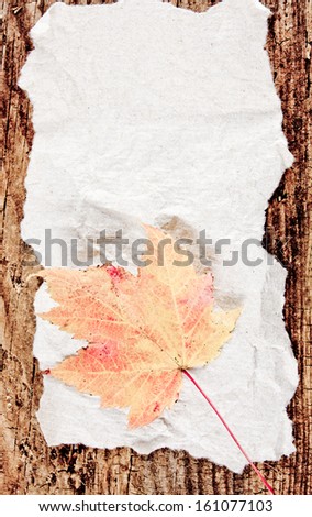 A single colored faded leaf on a white paper and wooden background