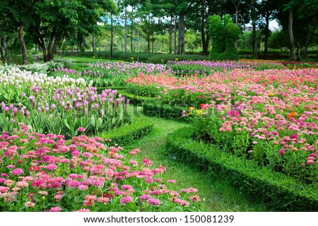 Parks Colourful Flowerbeds  flower yellow circle summer colour garden design formal public nature holiday winding blossom pathway weather walkway sunlight ornament outdoors  vacation beautiful.